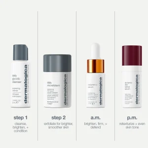 dermalogica christmas expertise on the go